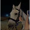 mel_chaaaal