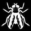 thecinematicfly