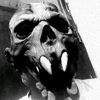 scarmask360