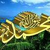 ___22558sfoananikyb