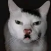 gatthitler