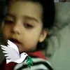 uservapuaxle8x
