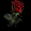 iam_mry3