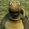 ushshsushush