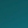 username273891920