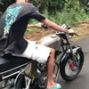 pandipeking_