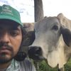 alanvzq1