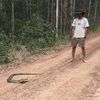 angustaylor550