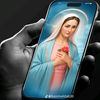 adam59533036386
