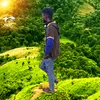 nniittiisshh2
