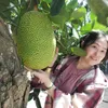 kim.cuong7072