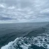 hollie.jsy129