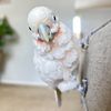 samthecockatoo