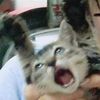 the.scretofme