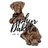 zephyrdakota