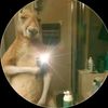 el_karma347