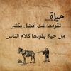 vetiye7