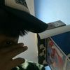 adididittt1