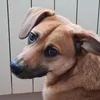 boki_tikitoki