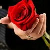 userw4wi17z7xw