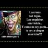 mascarita_84