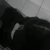 nasctzxw_