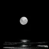 dlaciebie019