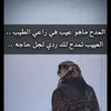 user9396918724280