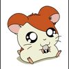 luckyguskur