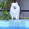 chanel.spitz19