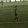 zebranks33
