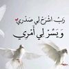 basheeralamary2