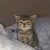 tehsrisriii