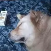 thnhtuytphng