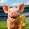 douglasbumer23