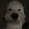 nadoxnascxx