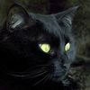 francisca_u_schwencke