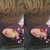 scc_cacottt24