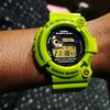 mad_kermit