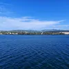 haivu8959