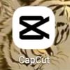 cntvffm