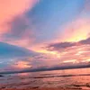 linh_small_fish