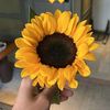 bws_dl