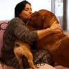 cinziabaroncini35