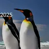 namaste661