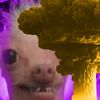 banan_niga1488