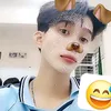 dy1al8155zrq