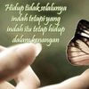 anirza85
