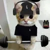 hatdognamayhatsus