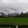 lekhanhan.123
